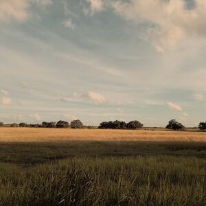 Meet your Posher, Kay